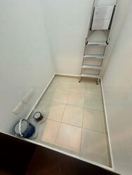 Cavan Suites (D8), Apartment #499024631